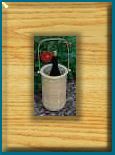 Nantucket Wine Cooler