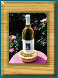 Nantucket Wine Coaster